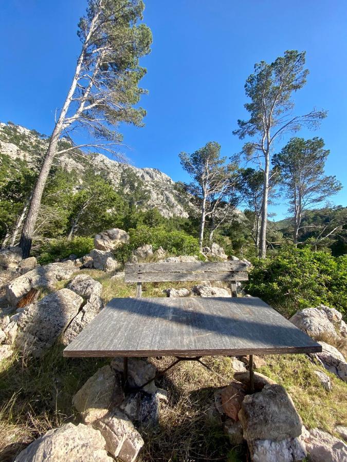 Finca Ses Fontanelles Andratx Zewnętrze zdjęcie