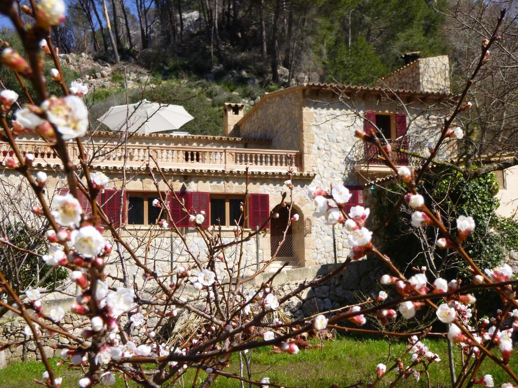 Finca Ses Fontanelles Andratx Zewnętrze zdjęcie