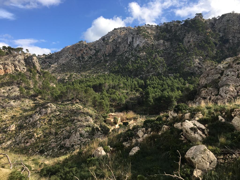 Finca Ses Fontanelles Andratx Zewnętrze zdjęcie