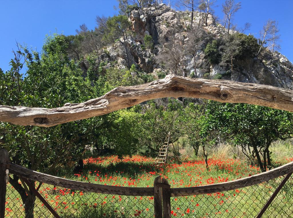 Finca Ses Fontanelles Andratx Zewnętrze zdjęcie