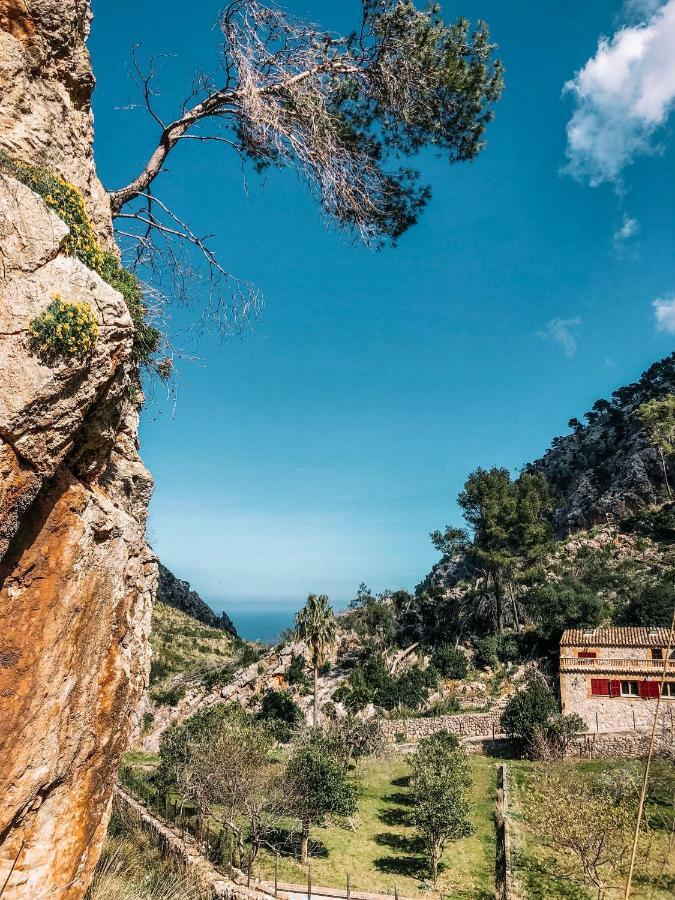 Finca Ses Fontanelles Andratx Zewnętrze zdjęcie