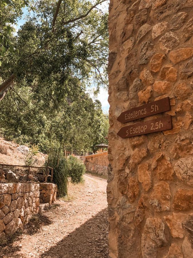 Finca Ses Fontanelles Andratx Zewnętrze zdjęcie